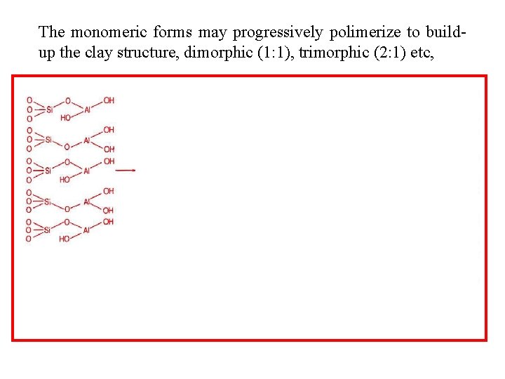 The monomeric forms may progressively polimerize to build up the clay structure, dimorphic (1: