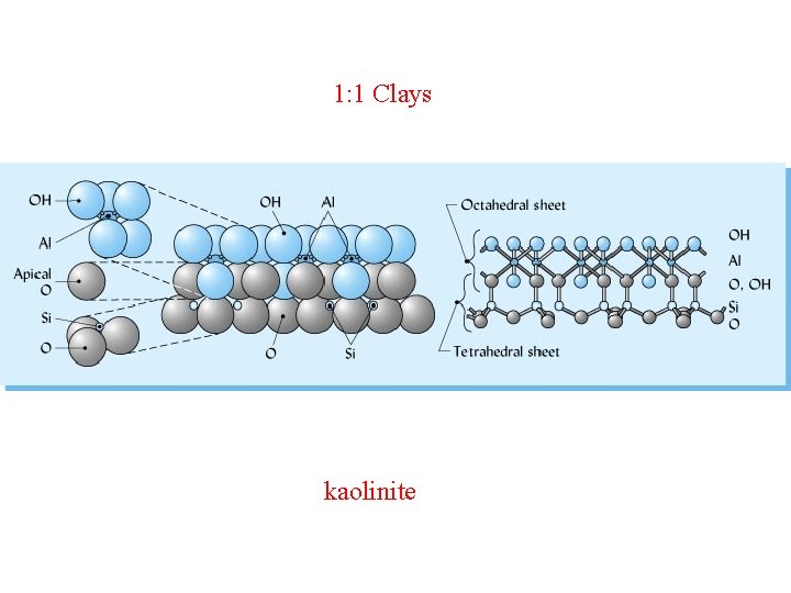 1: 1 Clays kaolinite 