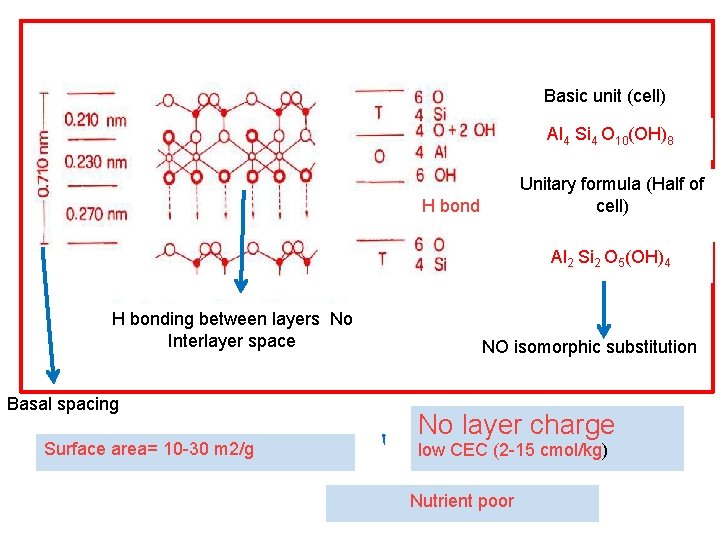Basic unit (cell) Al 4 Si 4 O 10(OH)8 Unitary formula (Half of cell) Basic unit (cell) Al 4 Si 4 O 10(OH)8 Unitary formula (Half of cell)