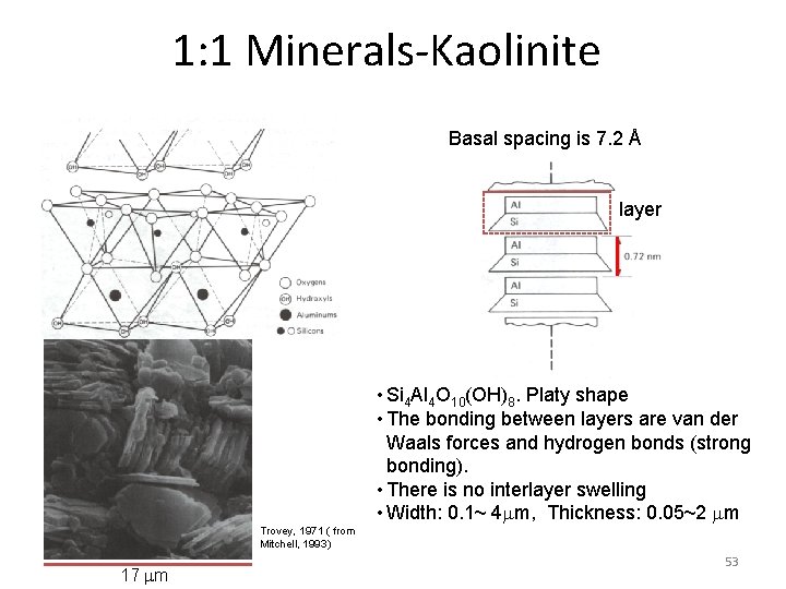 1: 1 Minerals-Kaolinite Basal spacing is 7. 2 Å layer • Si 4 Al 1: 1 Minerals-Kaolinite Basal spacing is 7. 2 Å layer • Si 4 Al