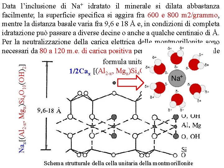 Nax (Al 2 x, Mgx)Si 4 O 10(OH)2 Data l’inclusione di Na+ idratato il