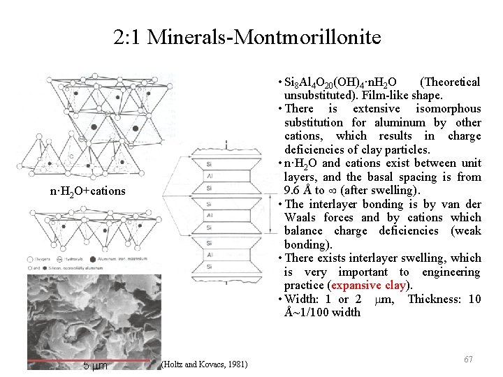 2: 1 Minerals Montmorillonite • Si 8 Al 4 O 20(OH)4·n. H 2 O 2: 1 Minerals Montmorillonite • Si 8 Al 4 O 20(OH)4·n. H 2 O