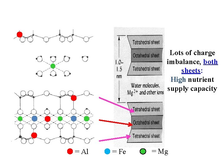 Lots of charge imbalance, both sheets: High nutrient supply capacity = Al = Fe Lots of charge imbalance, both sheets: High nutrient supply capacity = Al = Fe