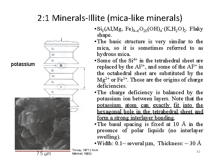 2: 1 Minerals-Illite (mica-like minerals) potassium K 7. 5 m • Si 8(Al, Mg,