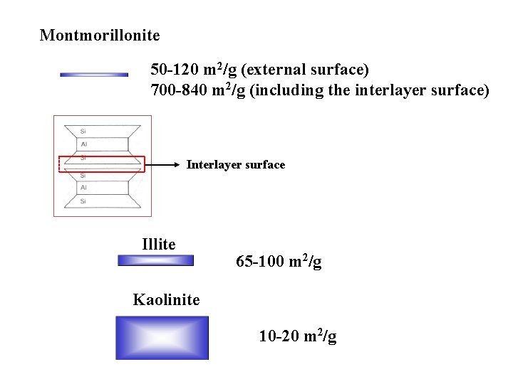 Montmorillonite 50 -120 m 2/g (external surface) 700 -840 m 2/g (including the interlayer