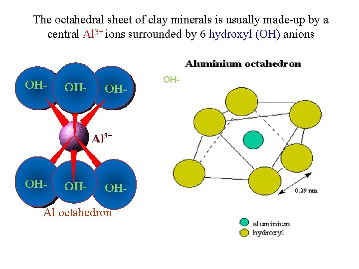 The octahedral sheet of clay minerals is usually made up by a central Al