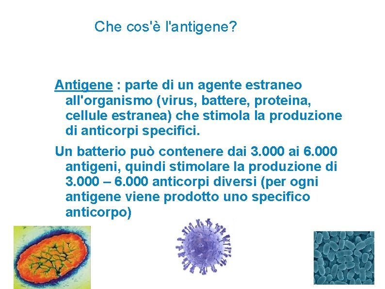 Che cos'è l'antigene? Antigene : parte di un agente estraneo all'organismo (virus, battere, proteina,