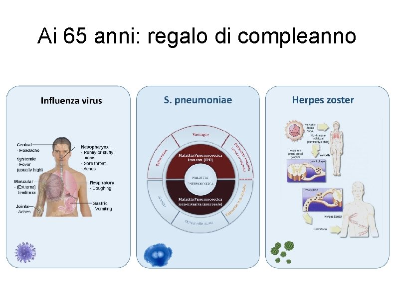 Ai 65 anni: regalo di compleanno 