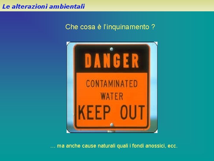 Le alterazioni ambientali Che cosa è l’inquinamento ? … ma anche cause naturali quali