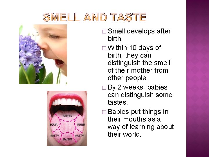 � Smell develops after birth. � Within 10 days of birth, they can distinguish