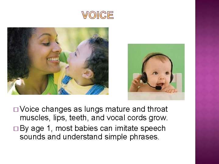 � Voice changes as lungs mature and throat muscles, lips, teeth, and vocal cords