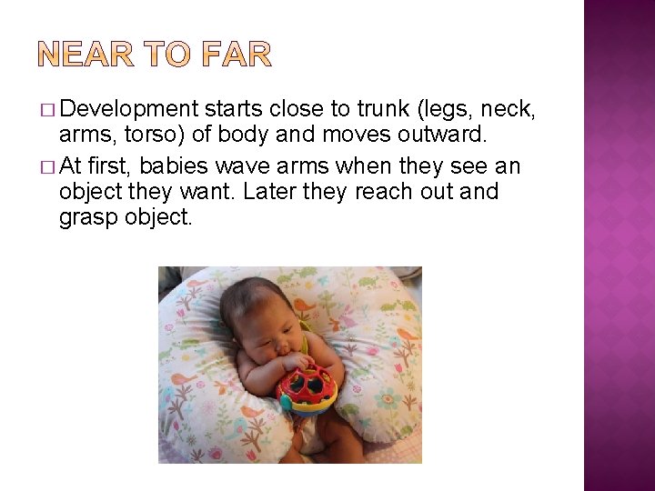 � Development starts close to trunk (legs, neck, arms, torso) of body and moves