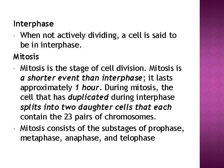 Interphase When not actively dividing, a cell is said to be in interphase. Mitosis