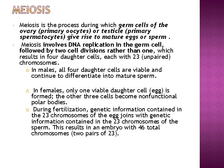  Meiosis is the process during which germ cells of the ovary (primary oocytes)