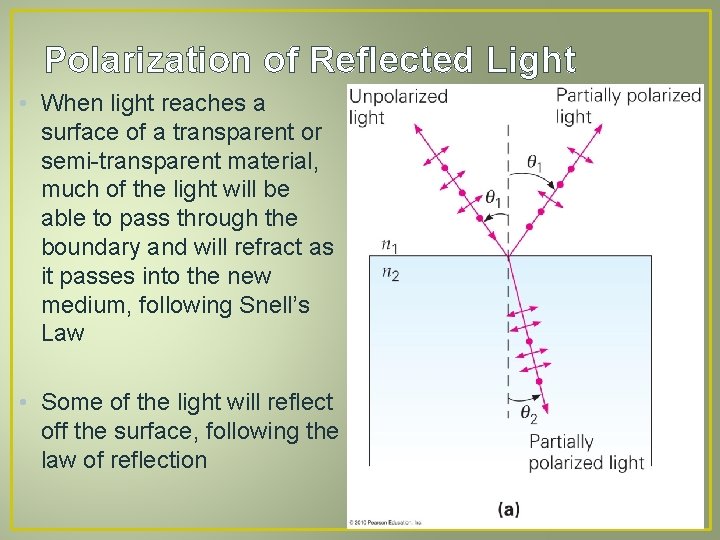 Polarization of Reflected Light • When light reaches a surface of a transparent or