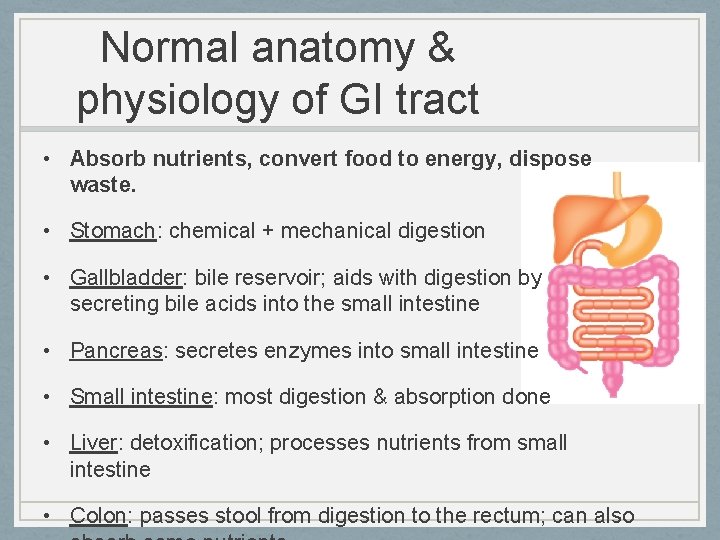 Normal anatomy & physiology of GI tract • Absorb nutrients, convert food to energy,