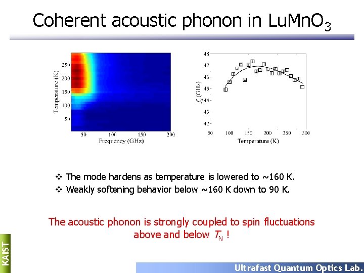 Coherent acoustic phonon in Lu. Mn. O 3 KAIST v The mode hardens as Coherent acoustic phonon in Lu. Mn. O 3 KAIST v The mode hardens as