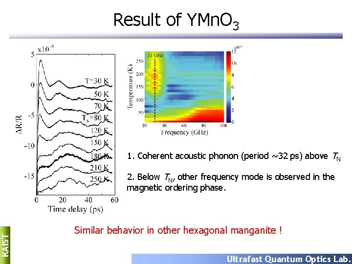 Result of YMn. O 3 1. Coherent acoustic phonon (period ~32 ps) above TN