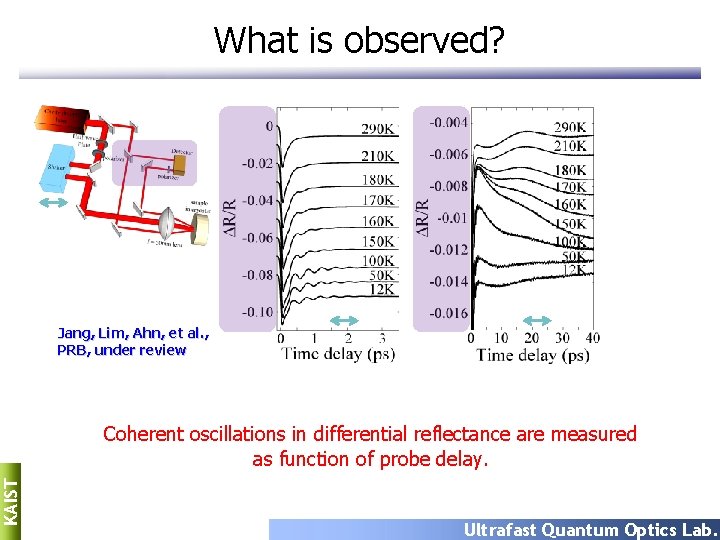 What is observed? Jang, Lim, Ahn, et al. , PRB, under review KAIST Coherent