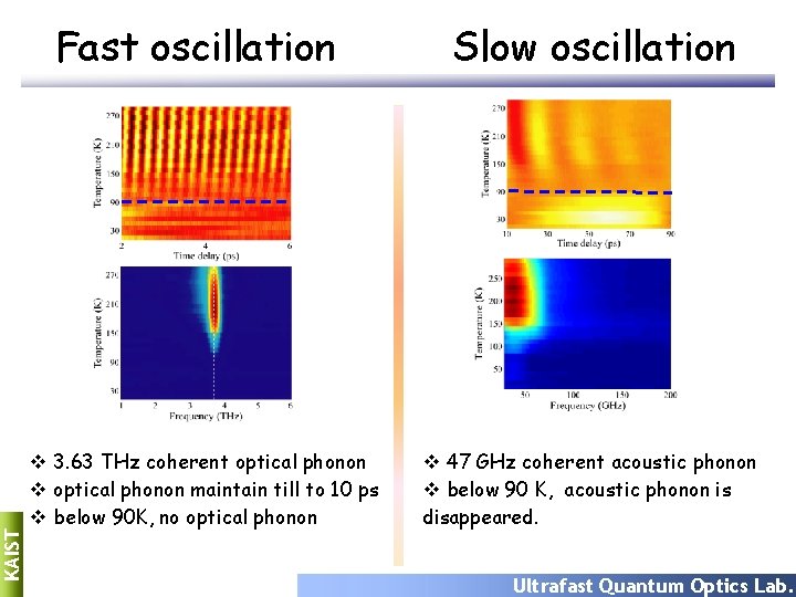 KAIST Fast oscillation v 3. 63 THz coherent optical phonon v optical phonon maintain KAIST Fast oscillation v 3. 63 THz coherent optical phonon v optical phonon maintain