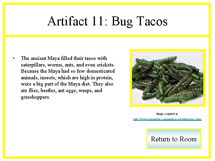Artifact 11: Bug Tacos • The ancient Maya filled their tacos with caterpillars, worms,