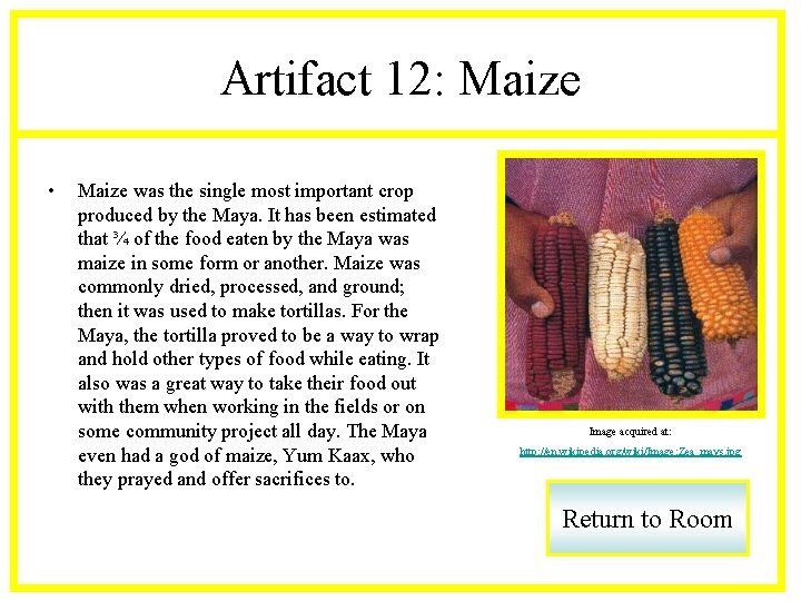 Artifact 12: Maize • Maize was the single most important crop produced by the
