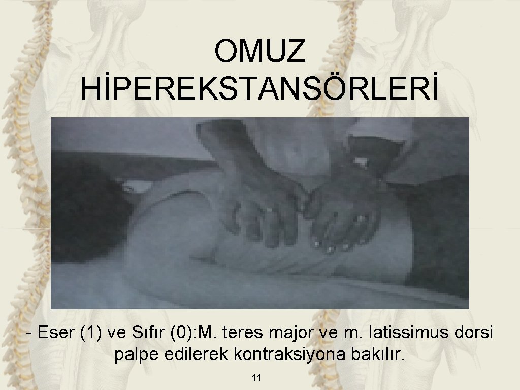 OMUZ HİPEREKSTANSÖRLERİ - Eser (1) ve Sıfır (0): M. teres major ve m. latissimus