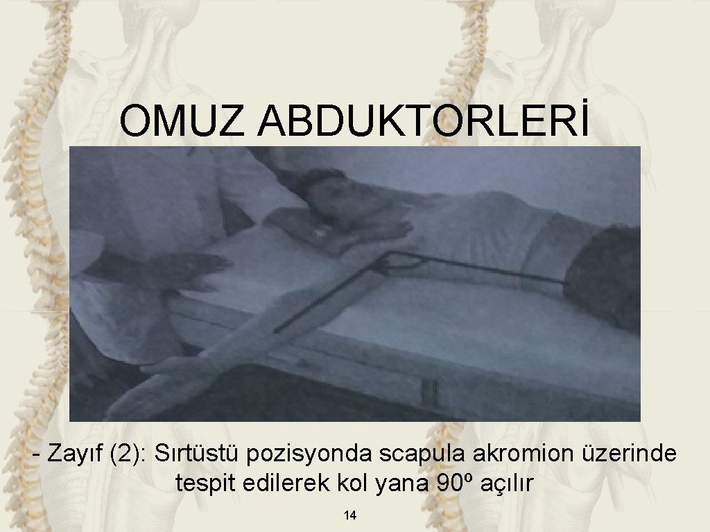 OMUZ ABDUKTORLERİ - Zayıf (2): Sırtüstü pozisyonda scapula akromion üzerinde tespit edilerek kol yana