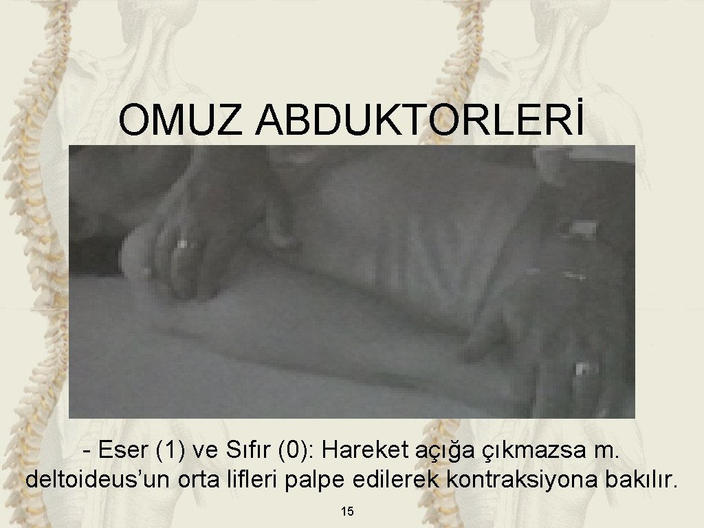 OMUZ ABDUKTORLERİ - Eser (1) ve Sıfır (0): Hareket açığa çıkmazsa m. deltoideus’un orta