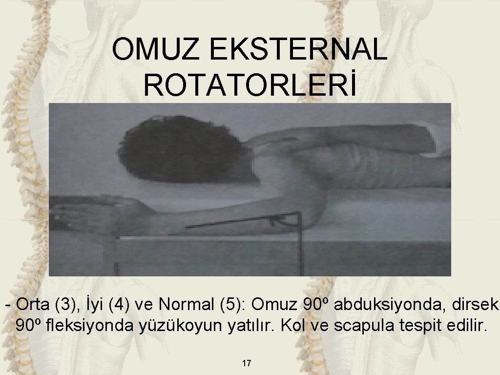 OMUZ EKSTERNAL ROTATORLERİ - Orta (3), İyi (4) ve Normal (5): Omuz 90º abduksiyonda,