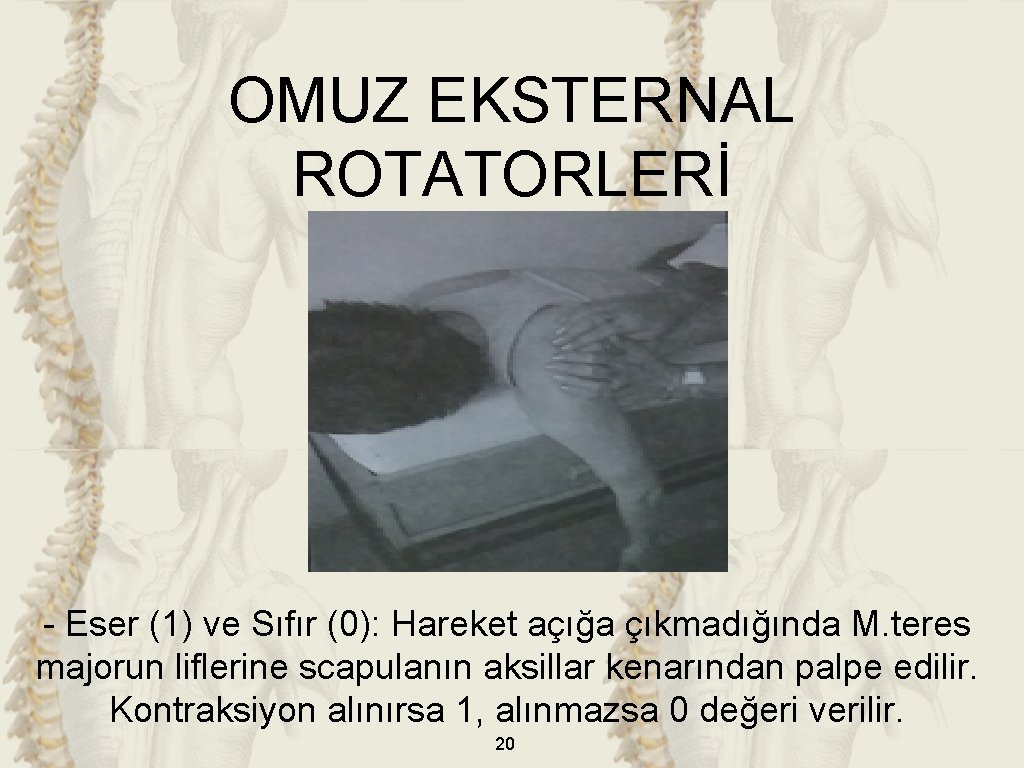 OMUZ EKSTERNAL ROTATORLERİ - Eser (1) ve Sıfır (0): Hareket açığa çıkmadığında M. teres