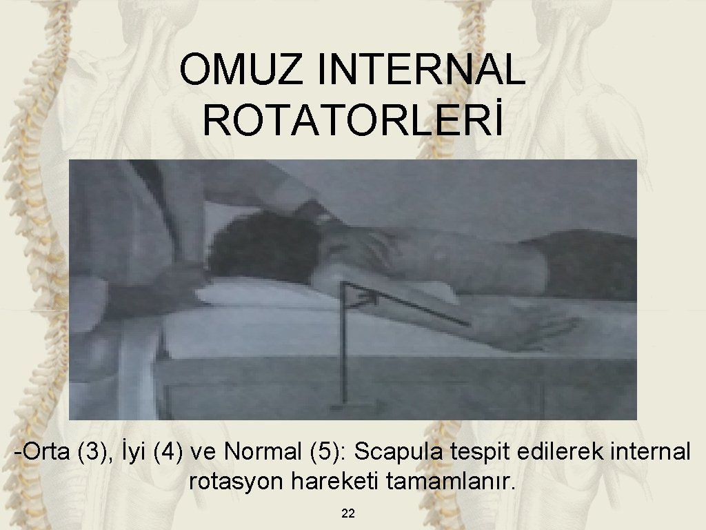 OMUZ INTERNAL ROTATORLERİ -Orta (3), İyi (4) ve Normal (5): Scapula tespit edilerek internal