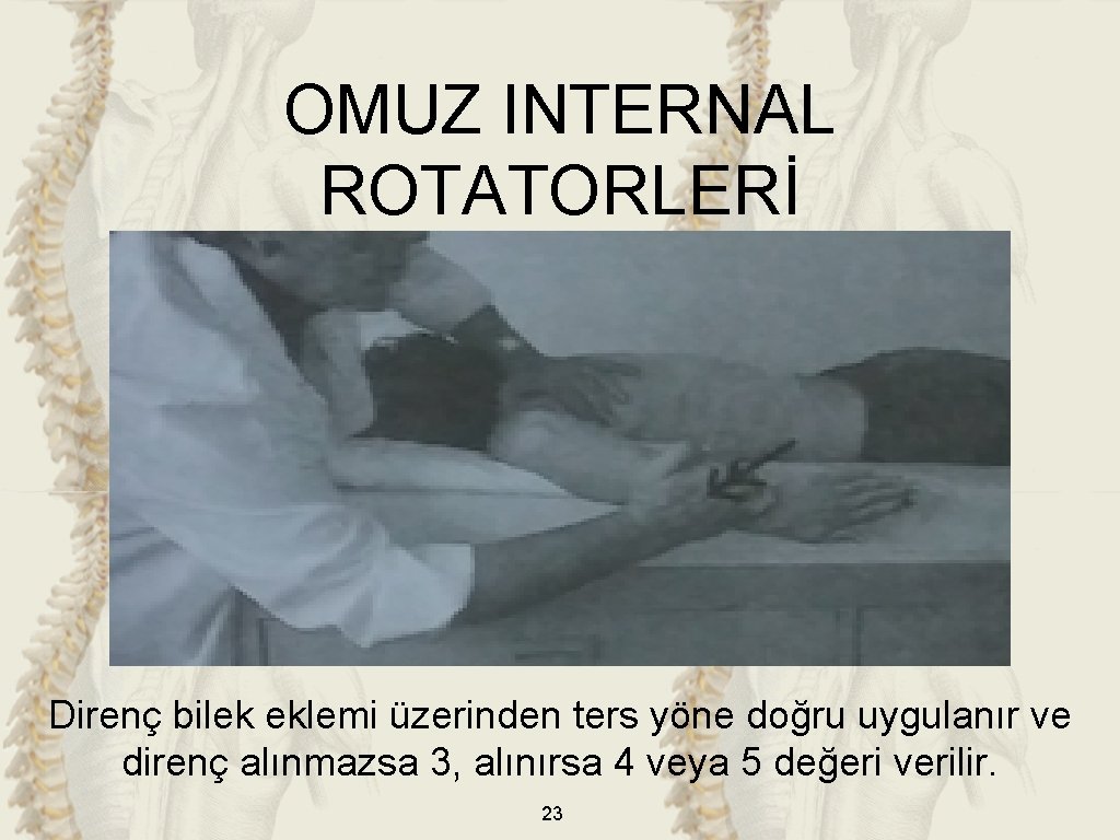 OMUZ INTERNAL ROTATORLERİ Direnç bilek eklemi üzerinden ters yöne doğru uygulanır ve direnç alınmazsa