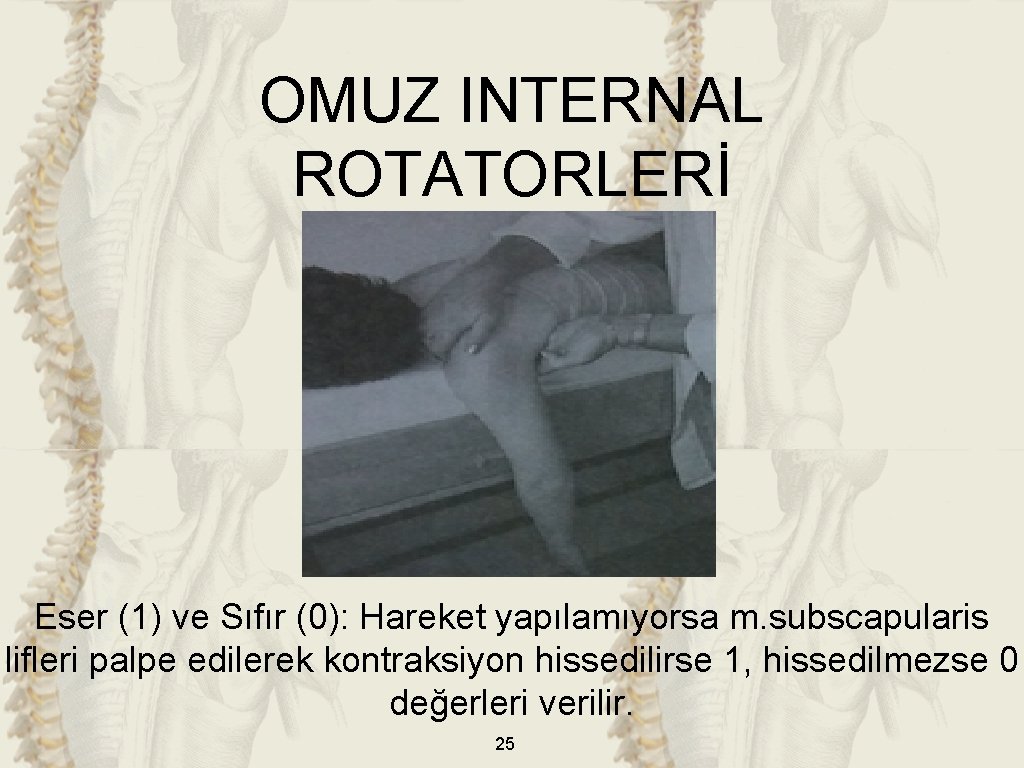 OMUZ INTERNAL ROTATORLERİ Eser (1) ve Sıfır (0): Hareket yapılamıyorsa m. subscapularis lifleri palpe