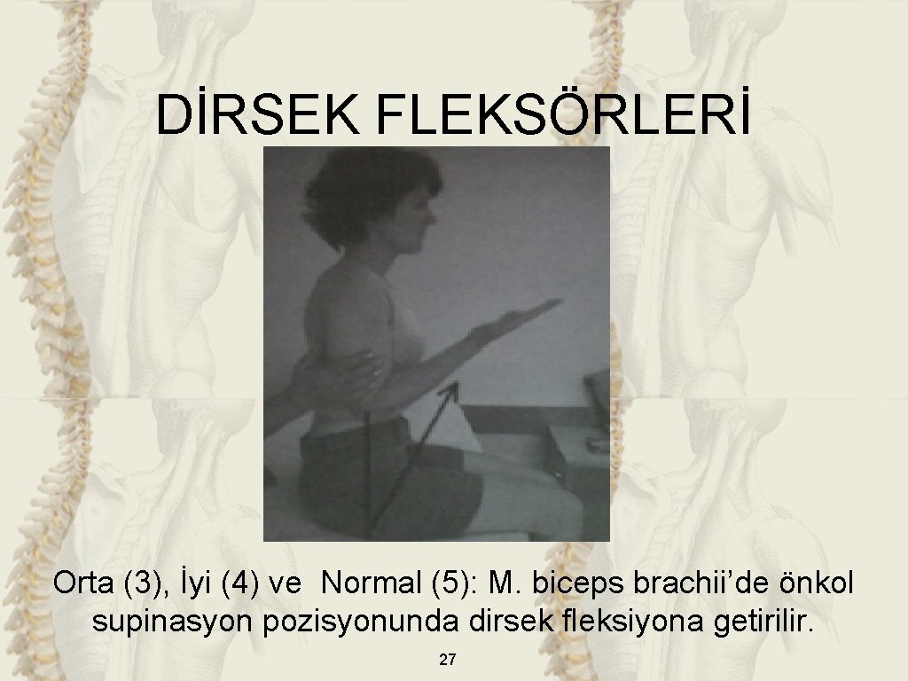 DİRSEK FLEKSÖRLERİ Orta (3), İyi (4) ve Normal (5): M. biceps brachii’de önkol supinasyon