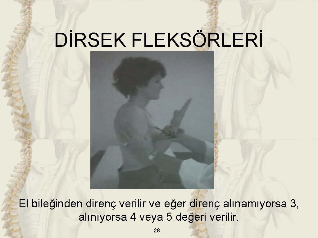 DİRSEK FLEKSÖRLERİ El bileğinden direnç verilir ve eğer direnç alınamıyorsa 3, alınıyorsa 4 veya