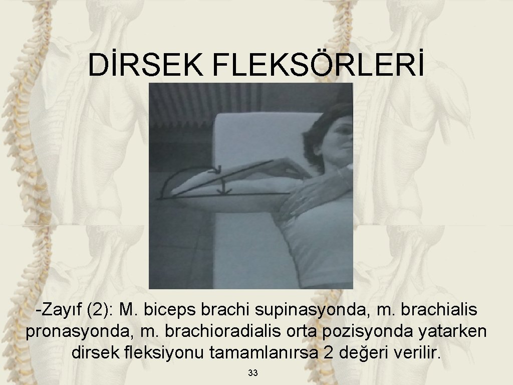 DİRSEK FLEKSÖRLERİ -Zayıf (2): M. biceps brachi supinasyonda, m. brachialis pronasyonda, m. brachioradialis orta