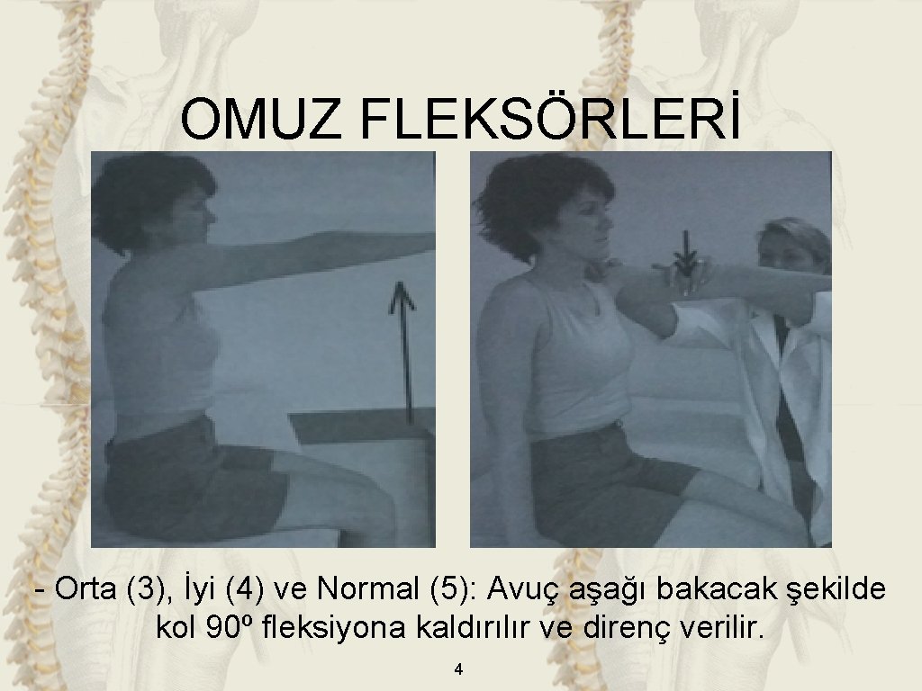 OMUZ FLEKSÖRLERİ - Orta (3), İyi (4) ve Normal (5): Avuç aşağı bakacak şekilde