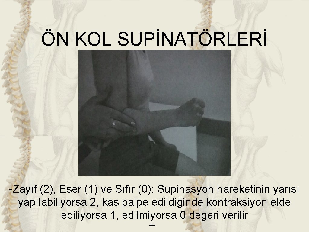 ÖN KOL SUPİNATÖRLERİ -Zayıf (2), Eser (1) ve Sıfır (0): Supinasyon hareketinin yarısı yapılabiliyorsa