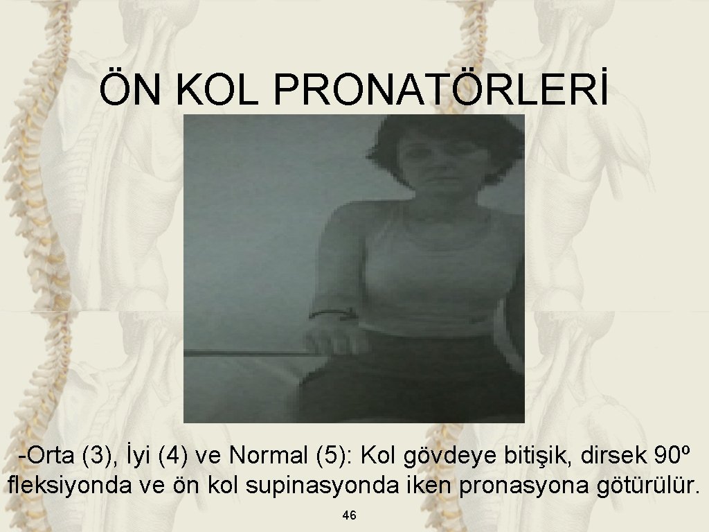 ÖN KOL PRONATÖRLERİ -Orta (3), İyi (4) ve Normal (5): Kol gövdeye bitişik, dirsek