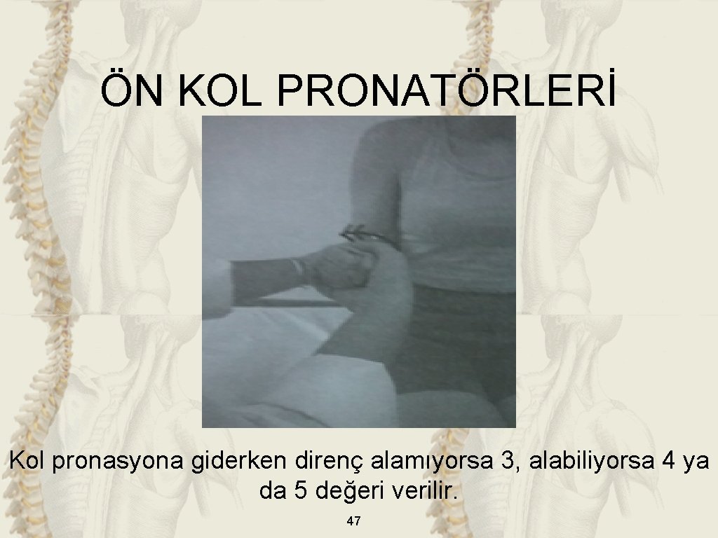 ÖN KOL PRONATÖRLERİ Kol pronasyona giderken direnç alamıyorsa 3, alabiliyorsa 4 ya da 5