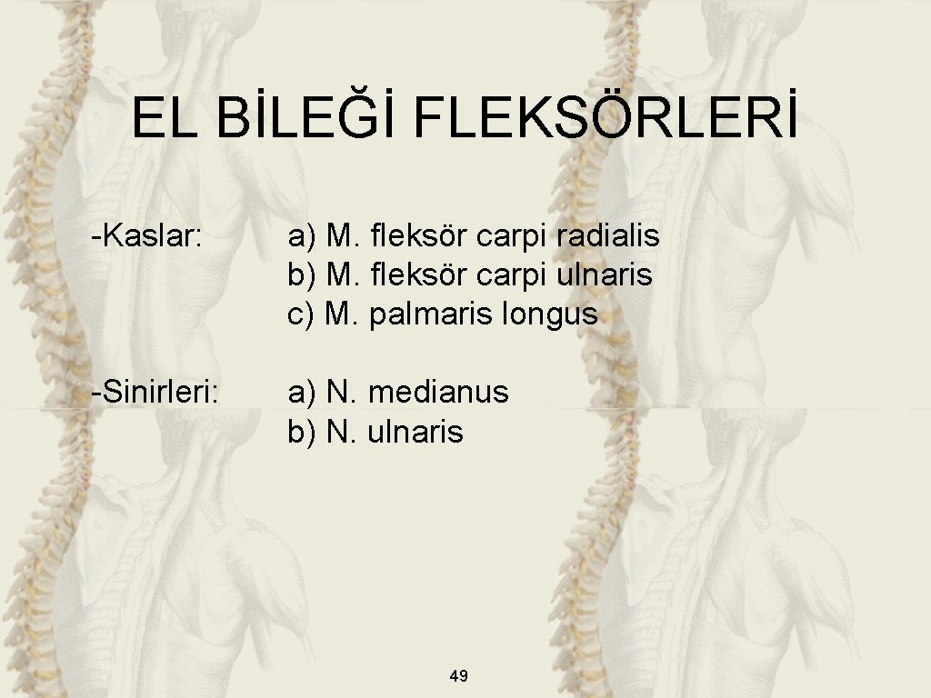 EL BİLEĞİ FLEKSÖRLERİ -Kaslar: a) M. fleksör carpi radialis b) M. fleksör carpi ulnaris