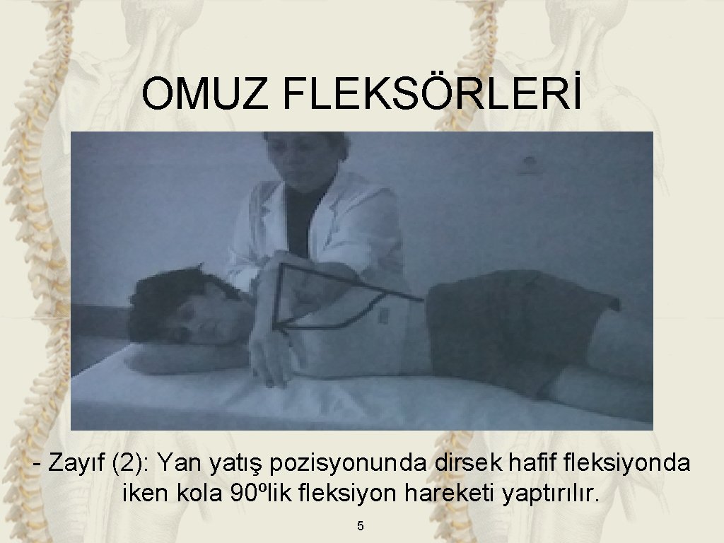 OMUZ FLEKSÖRLERİ - Zayıf (2): Yan yatış pozisyonunda dirsek hafif fleksiyonda iken kola 90ºlik