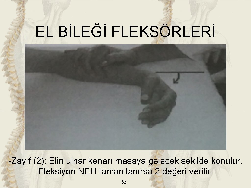 EL BİLEĞİ FLEKSÖRLERİ -Zayıf (2): Elin ulnar kenarı masaya gelecek şekilde konulur. Fleksiyon NEH