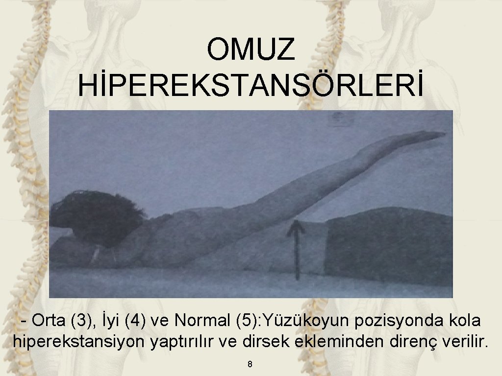 OMUZ HİPEREKSTANSÖRLERİ - Orta (3), İyi (4) ve Normal (5): Yüzükoyun pozisyonda kola hiperekstansiyon