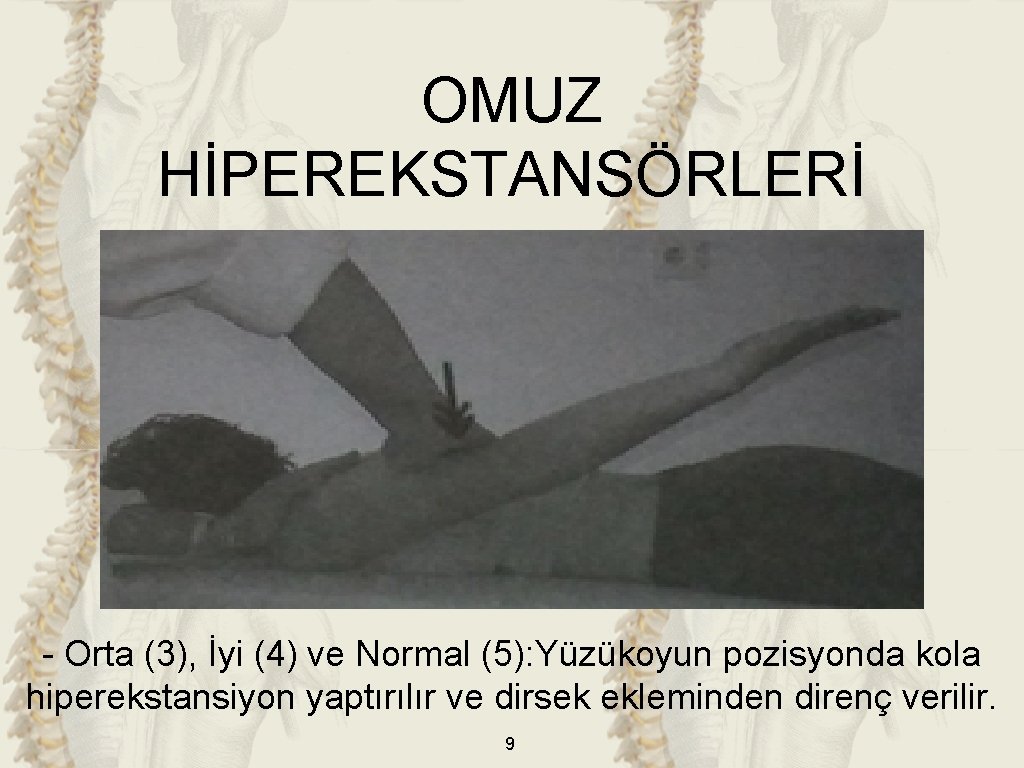 OMUZ HİPEREKSTANSÖRLERİ - Orta (3), İyi (4) ve Normal (5): Yüzükoyun pozisyonda kola hiperekstansiyon