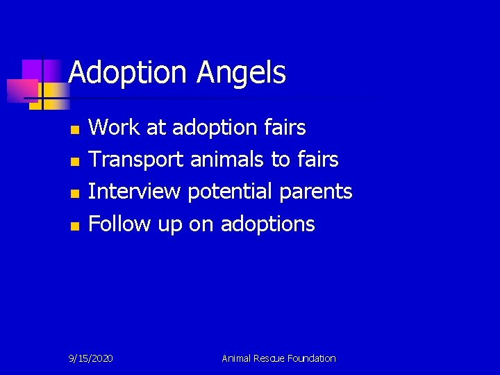 Adoption Angels n n Work at adoption fairs Transport animals to fairs Interview potential