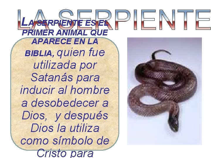 LA SERPIENTE ES EL PRIMER ANIMAL QUE APARECE EN LA BIBLIA, quien fue utilizada