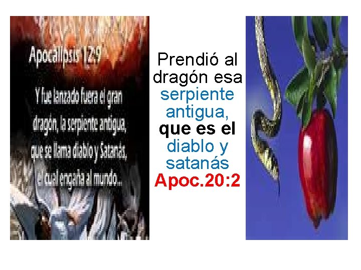 Prendió al dragón esa serpiente antigua, que es el diablo y satanás Apoc. 20: