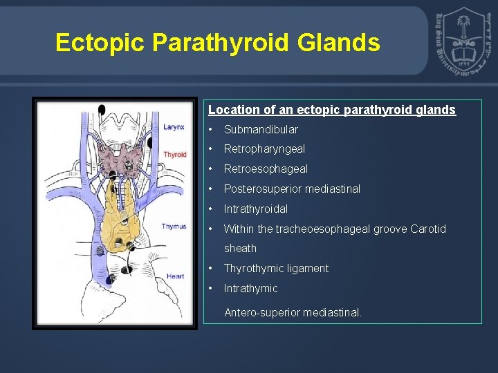 Ectopic Parathyroid Glands Location of an ectopic parathyroid glands • Submandibular • Retropharyngeal •